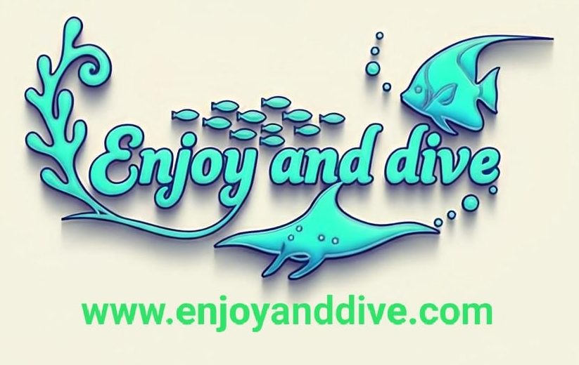 Enjoy And Dive
